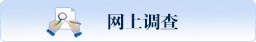 网上调查